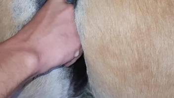 Mare pussy getting fingered happily on camera