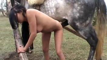 Small boobs babe getting screwed by a hung horse