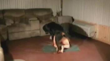 Amazing black dog knows how to fuck a tight pussy