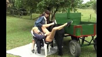 Twisted bitches banging a big-dicked horse outdoors