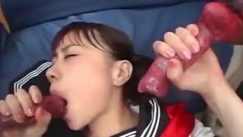 Japanese schoolgirl takes care of two dog dicks at once