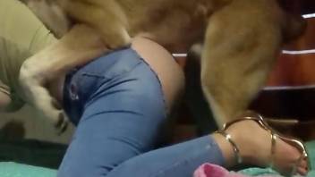 Ripped pants hottie gets ready to fuck dogs hard