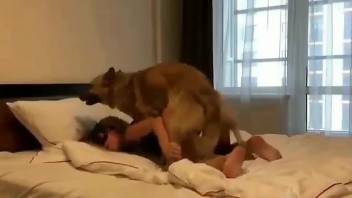 Blonde babe in a sexy mask craves dog boners