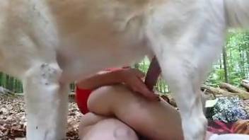 Dog sniffs and licks woman's pussy in outdoor perversions