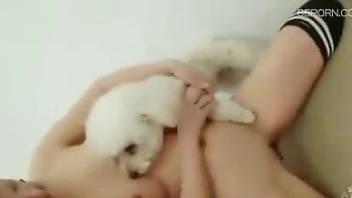 Asian girl in a sexy uniform lets the dog eat her out