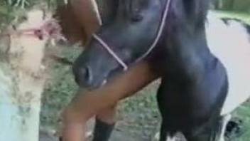 Superb woman with thick ass, naked home sex with the horse