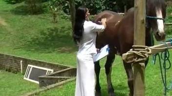 Hung stallion fucking a really kinky veterinarian