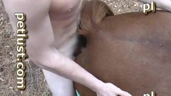 Clothed man fucks with his animals at the farm
