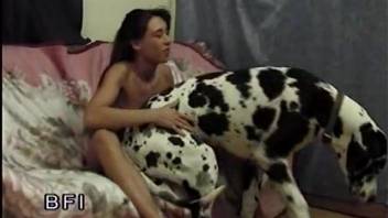 Redheaded zoophile babe bouncing on a dog's dick