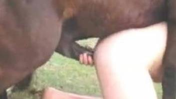 Horny man tries deep anal sex with a real horse