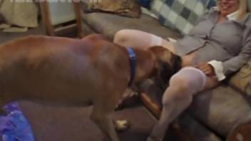 Stockings-wearing blonde gets licked and fucked by a dog
