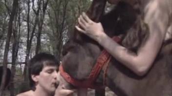 Mature people enjoy hard zoo sex in an outdoor orgy